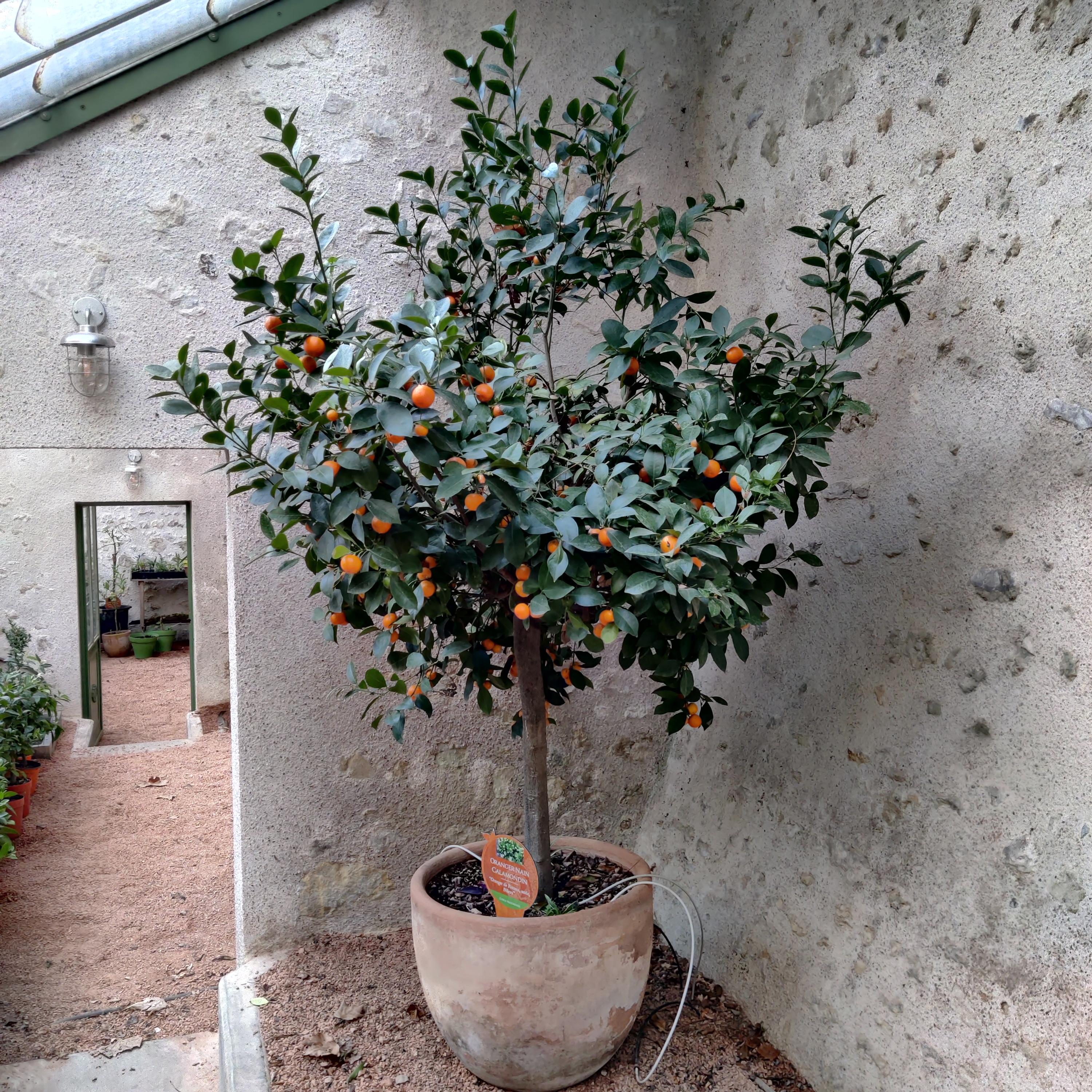 Photo n° 1 de l'avis de L..r fait le 22/11/2022 à 21:42