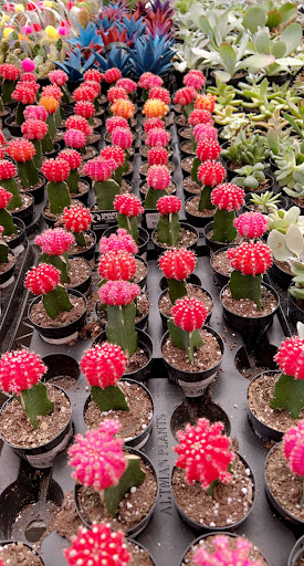 Home Improvement Store «The Home Depot», reviews and photos, W 12871 I-10, San Antonio, TX 78249, USA