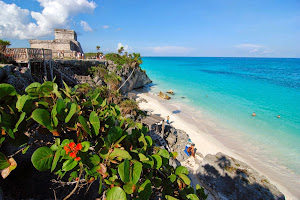 Cancún Private Tours. Make Your Own Tour image