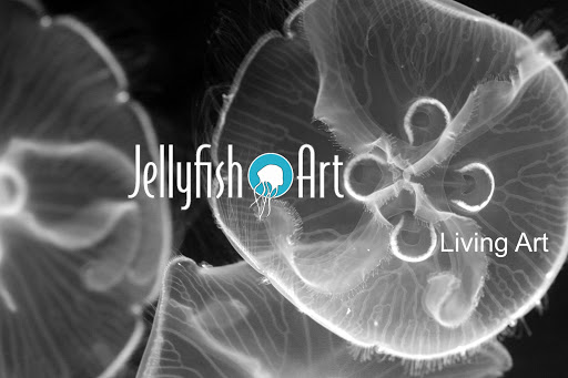 Aquarium «Jellyfish Art», reviews and photos, 4801 Johnson Rd Suite 10, Coconut Creek, FL 33073, USA