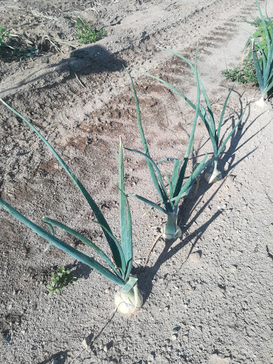 Farm «Four Town Farm», reviews and photos, 90 George St, Seekonk, MA 02771, USA