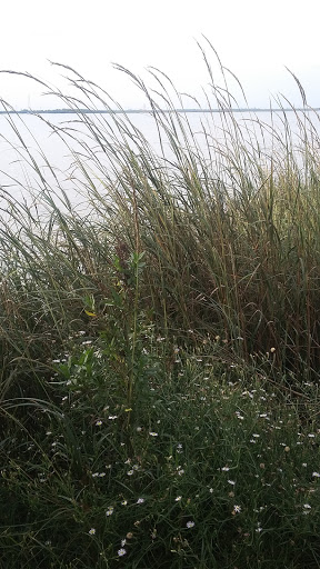 Nature Preserve «Baytown Nature Center», reviews and photos, 6213 Bayway Dr, Baytown, TX 77520, USA