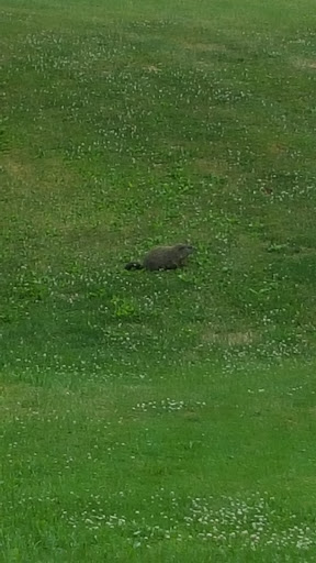 Golf Course «Woodruff Golf Course», reviews and photos, 621 Gougar Rd, Joliet, IL 60432, USA