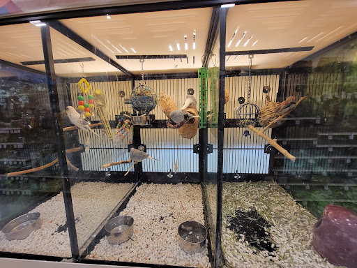 Pet Supply Store «PetSmart», reviews and photos, 4550 W Lake Mary Blvd, Lake Mary, FL 32746, USA