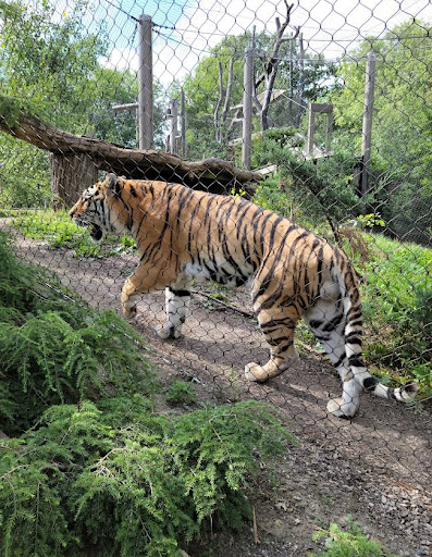 Zoo «Cleveland Metroparks Zoo», reviews and photos, 3900 Wildlife Way, Cleveland, OH 44109, USA