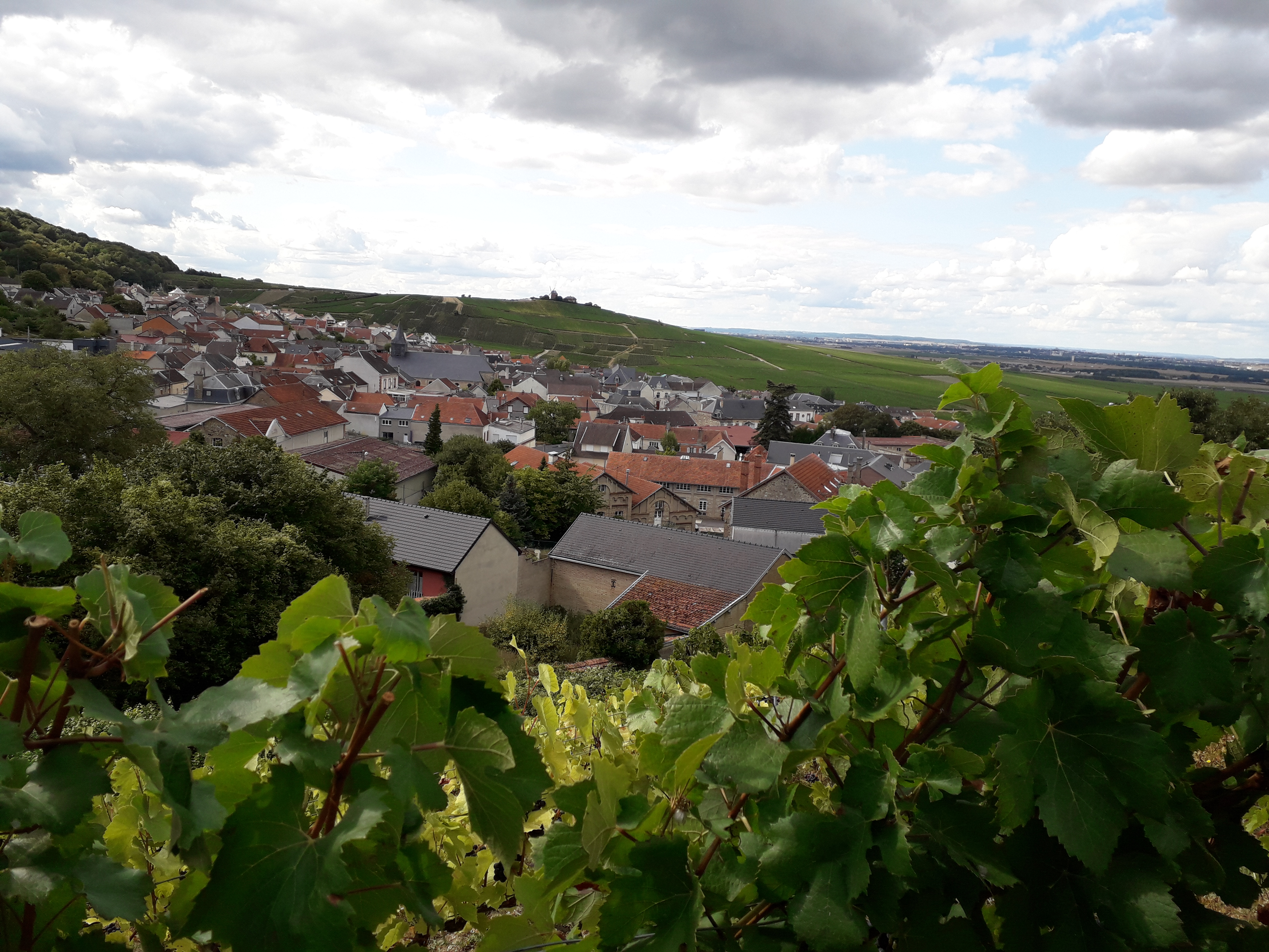 Photo n° 7 de l'avis de Cathy.r fait le 25/08/2018 à 19:04