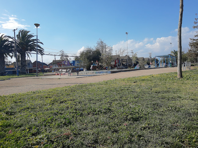 Opiniones de Skatepark La Farfana - La Ruta del Skate en Maipú - Tienda de deporte