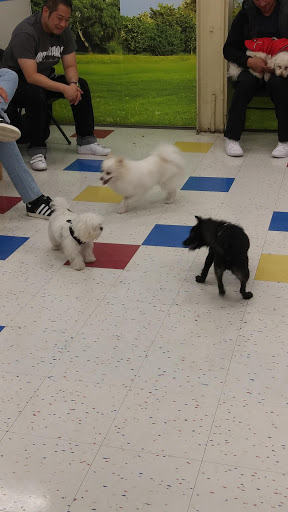 Pet Supply Store «Petco Animal Supplies», reviews and photos, 231 N Glendale Ave, Glendale, CA 91206, USA