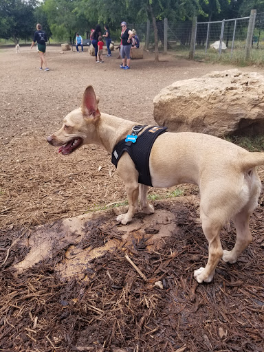 Park «Nani Falcone Community Park», reviews and photos, 7625 Mystic Park, San Antonio, TX 78254, USA