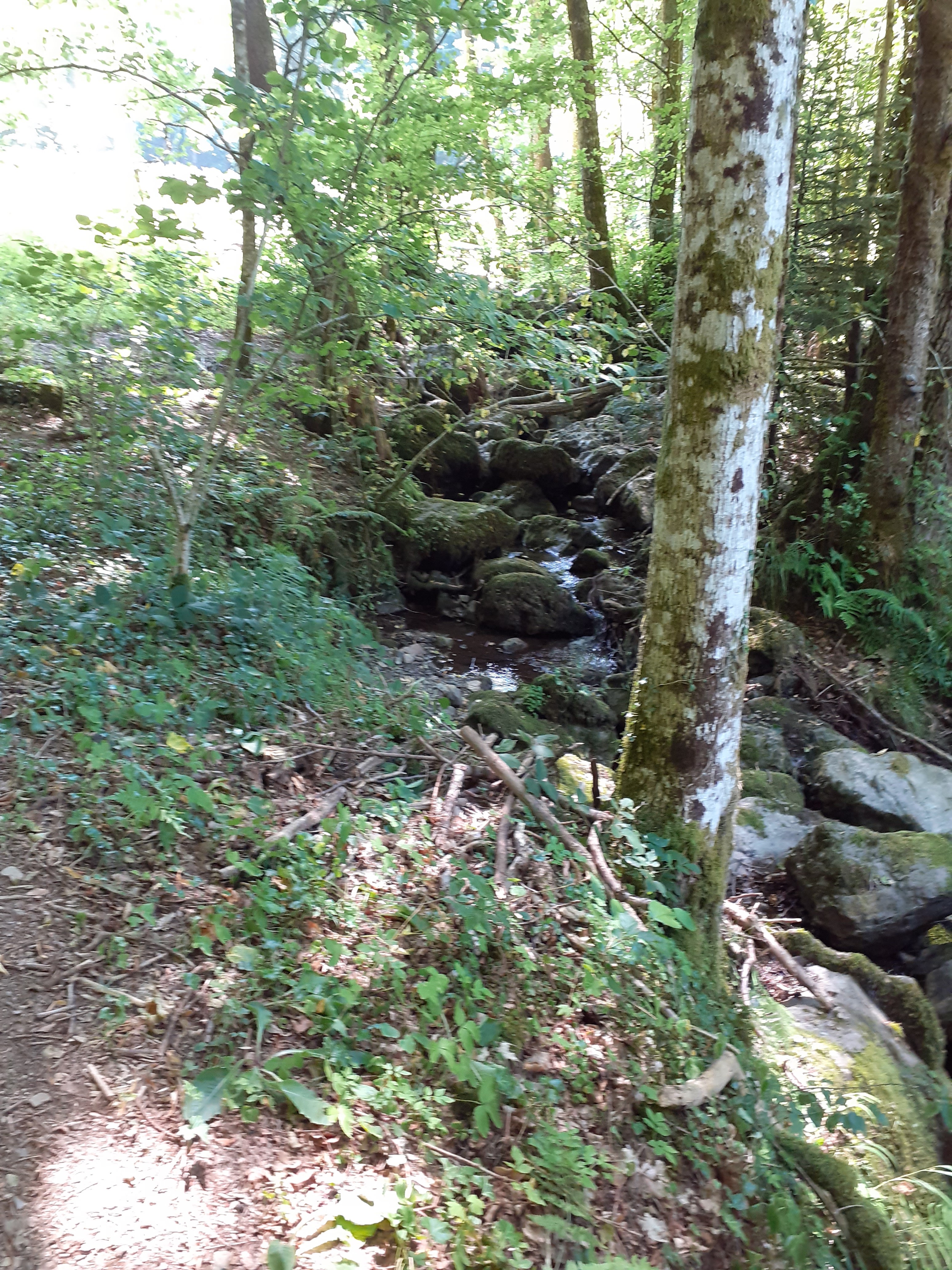 Photo n° 4 de l'avis de sybille.e fait le 26/07/2019 à 09:33