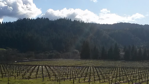 General Store «Dry Creek General Store», reviews and photos, 3495 Dry Creek Rd, Healdsburg, CA 95448, USA