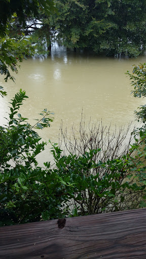 Country Club «West Fork Golf & Country Club», reviews and photos, 1 Golf Rdg, Conroe, TX 77304, USA