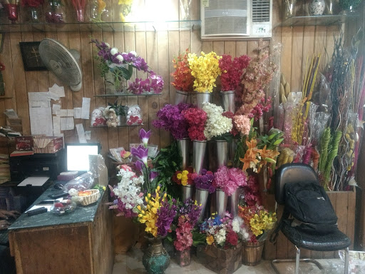 toy shop in rajouri garden