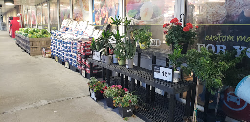 Grocery Store «ACME Markets», reviews and photos, 711 Washington Ave, Chestertown, MD 21620, USA