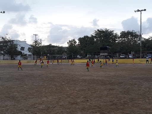 Tiendas beisbol Cartagena