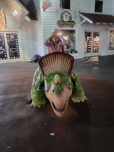 Amusement Park «The Pavilion Park», reviews and photos, 1171 Celebrity Cir, Myrtle Beach, SC 29577, USA