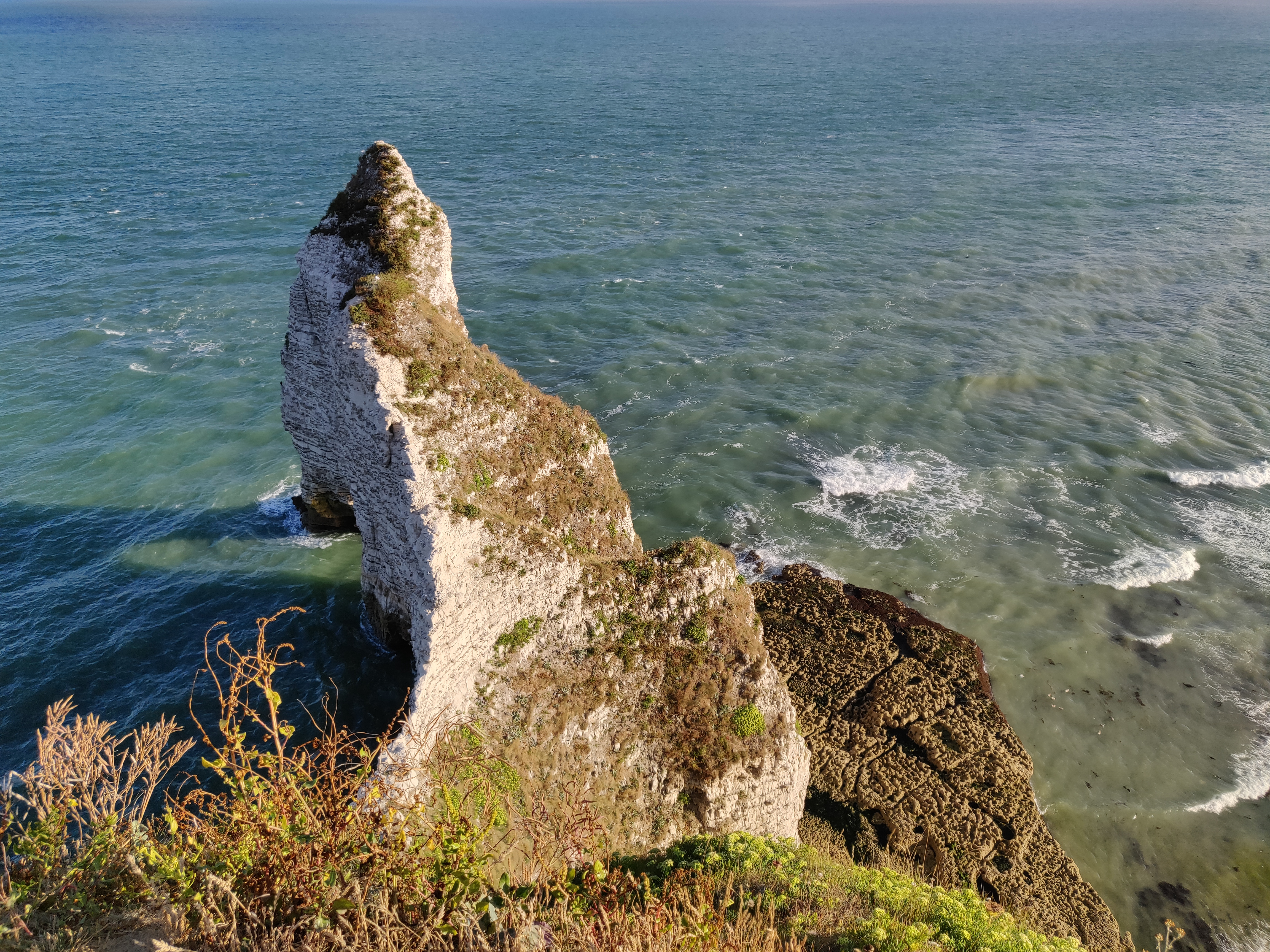 Photo n° 1 de l'avis de Adrien.n fait le 11/08/2018 à 08:04