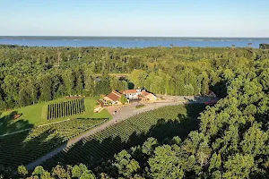 Potomac Point Winery & Vineyard image