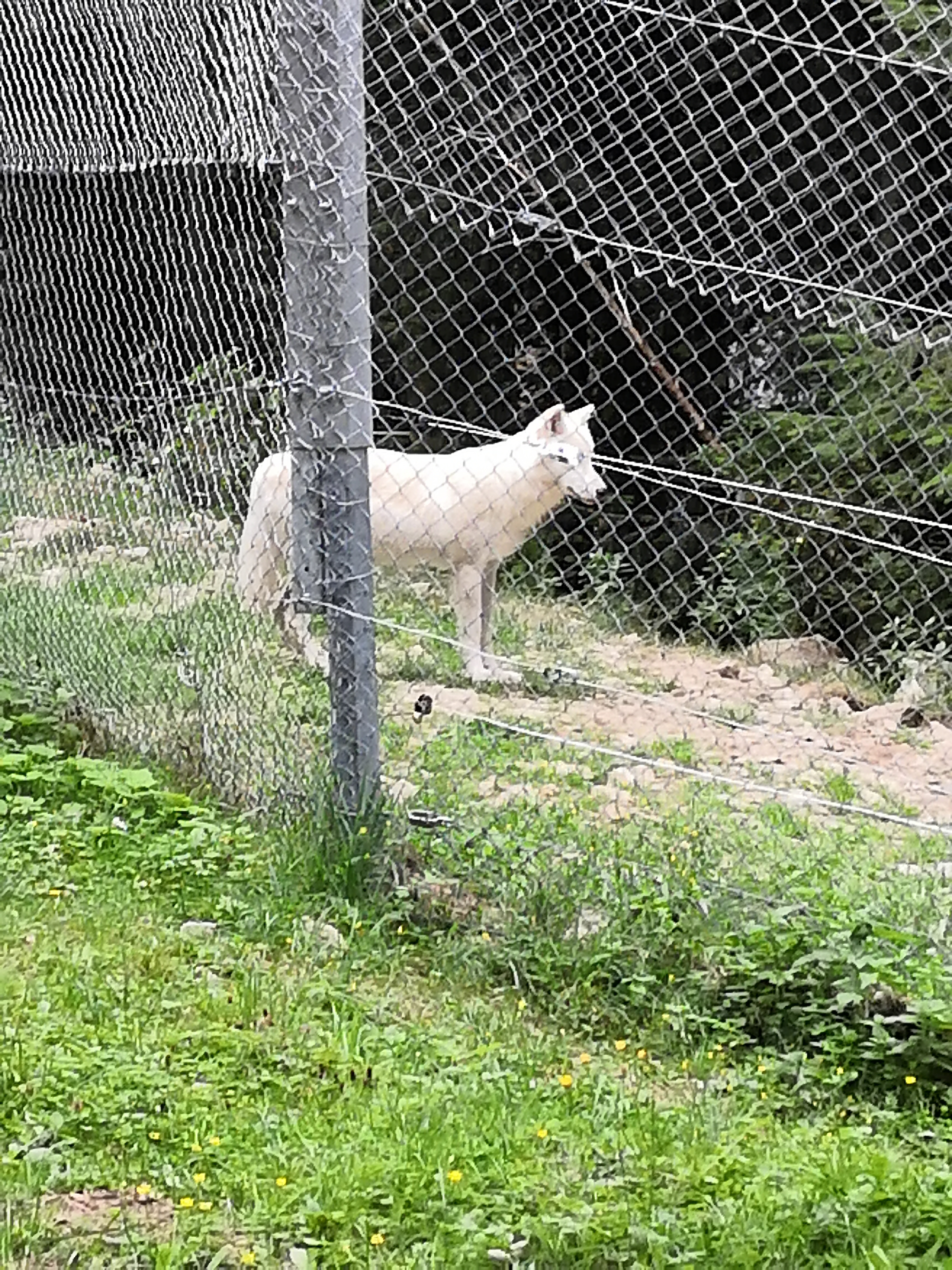 Photo n° 1 de l'avis de Bénédicte.A fait le 26/08/2020 à 06:05