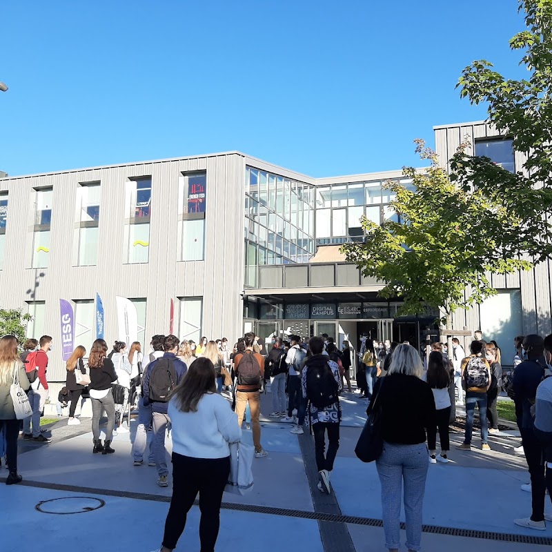 École commerce ESG Bordeaux