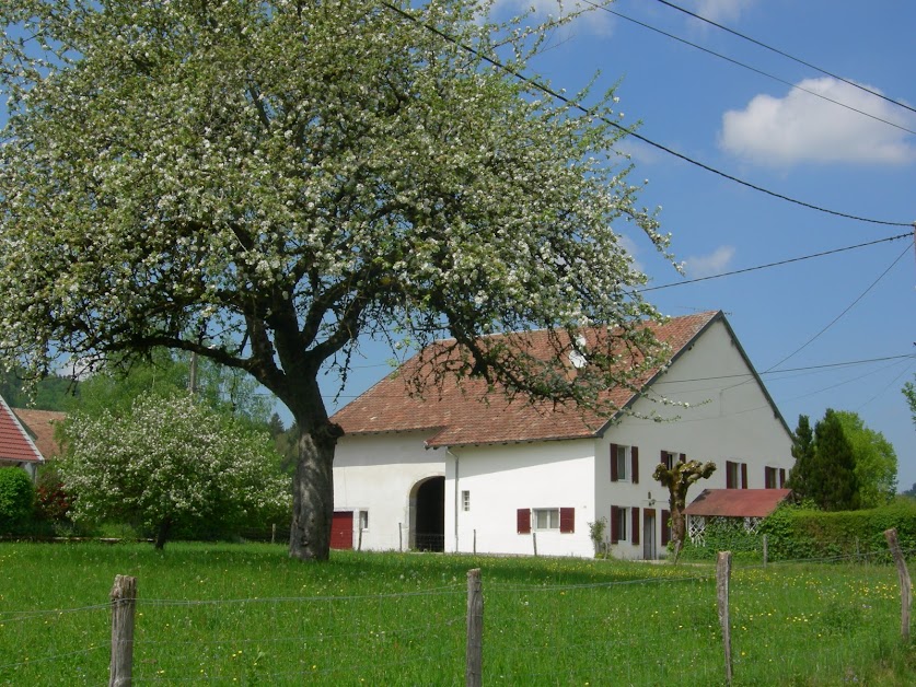 Gîte La Maison Comtoise à Bourg-de-Sirod (Jura 39)