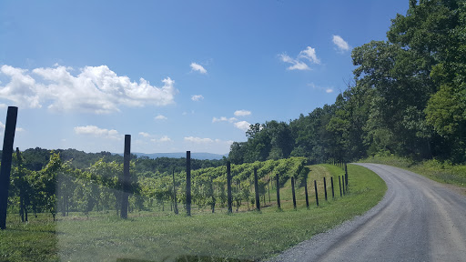 Vineyard «North Mountain Vineyard and Winery», reviews and photos, 4374 Swartz Rd, Maurertown, VA 22644, USA