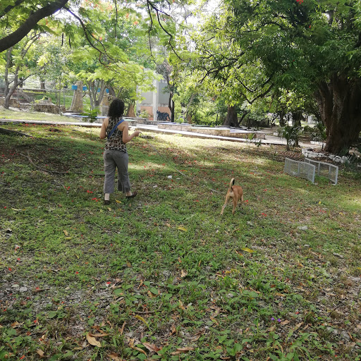 Entrenador de perros Tuxtla Gutiérrez