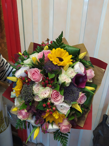 Virágszalon - Debrecen