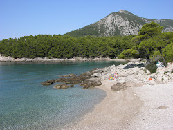 Photo de Beach Zamali avec un rivage droit