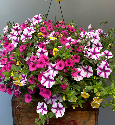 Florist «Bangor Floral», reviews and photos, 96 Center St, Bangor, ME 04401, USA