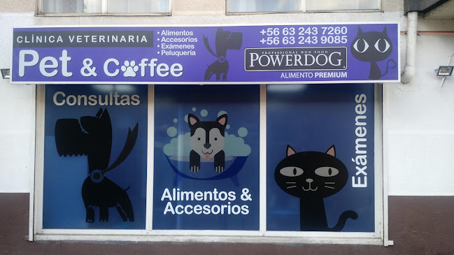Opiniones de Pet and Coffee SPA en Estación Central - Veterinario