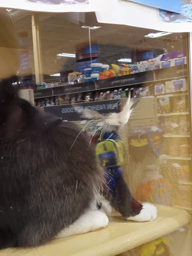 Pet Supply Store «PetSmart», reviews and photos, 160 Washington St #701, Rochester, NH 03839, USA
