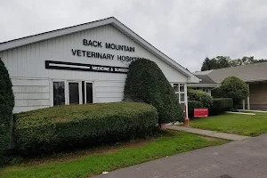 Back Mountain Veterinary Hospital image