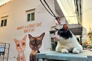 Street Cat Mural image