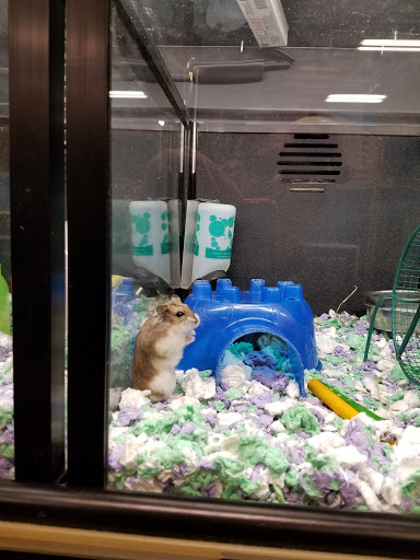 Pet Supply Store «PetSmart», reviews and photos, 2858 Willamette St, Eugene, OR 97405, USA