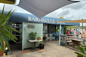 Barnacles image