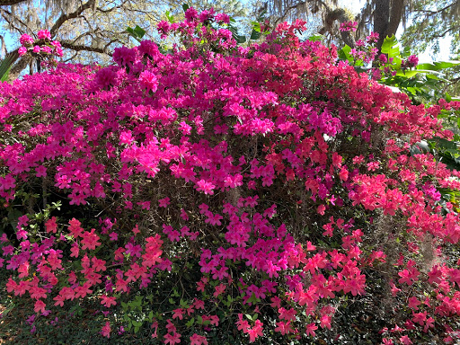 Public Golf Course «Pebble Creek Golf Club - Award Winning Tampa Golf Courses», reviews and photos, 10550 Regents Park Dr, Tampa, FL 33647, USA