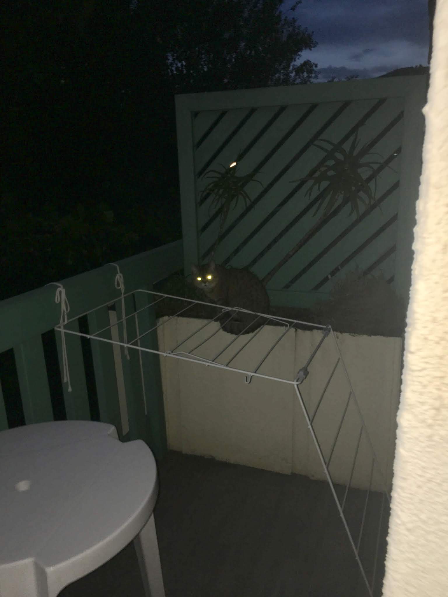 Photo n° 2 de l'avis de Claude.m fait le 30/07/2019 à 14:44