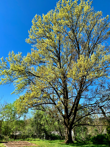 Historical Place Museum «Riversdale House Museum», reviews and photos, 4811 Riverdale Rd, Riverdale, MD 20737, USA