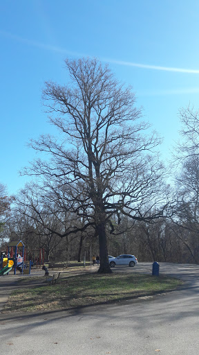 Tourist Attraction «Greensfelder Memorial Shelter», reviews and photos, 13236 Streetcar Dr, Maryland Heights, MO 63043, USA