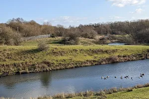 Hollins Vale Local Nature Reserve image