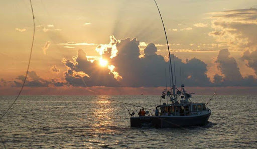 Seafood Market «Seven Seas Seafood Market», reviews and photos, 3476 US-17 BUS, Murrells Inlet, SC 29576, USA