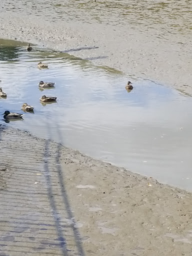 Park «Inwood Hill Park», reviews and photos, Dyckman St, New York, NY 10452, USA