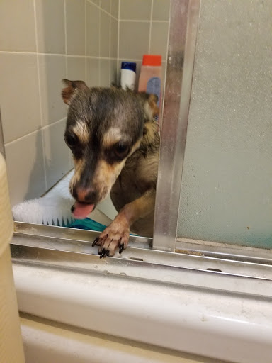 Pet Supply Store «Petco Animal Supplies», reviews and photos, 1370 Holiday Ln a, Fairfield, CA 94533, USA