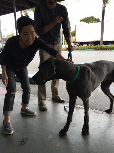 Dry Cleaner «Cleaners La Jolla», reviews and photos, 6902 La Jolla Blvd A, La Jolla, CA 92037, USA