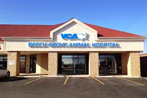 VCA Beech Grove Animal Hospital image