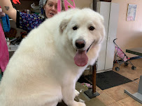 Gentle Touch Pet Salon - Photo 5 - Car repair in Citrus Heights, CA, Sacramento