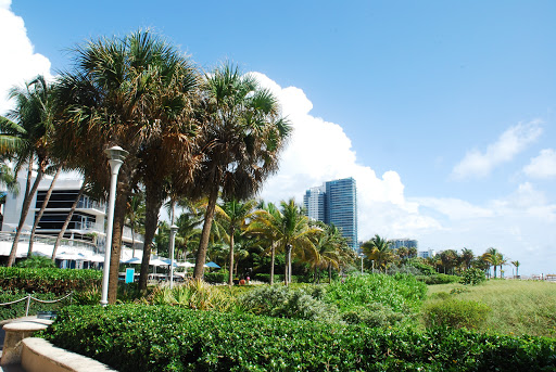 Barber Shop «Hall of Fame Barbershop», reviews and photos, 1665 Washington Ave, Miami Beach, FL 33139, USA