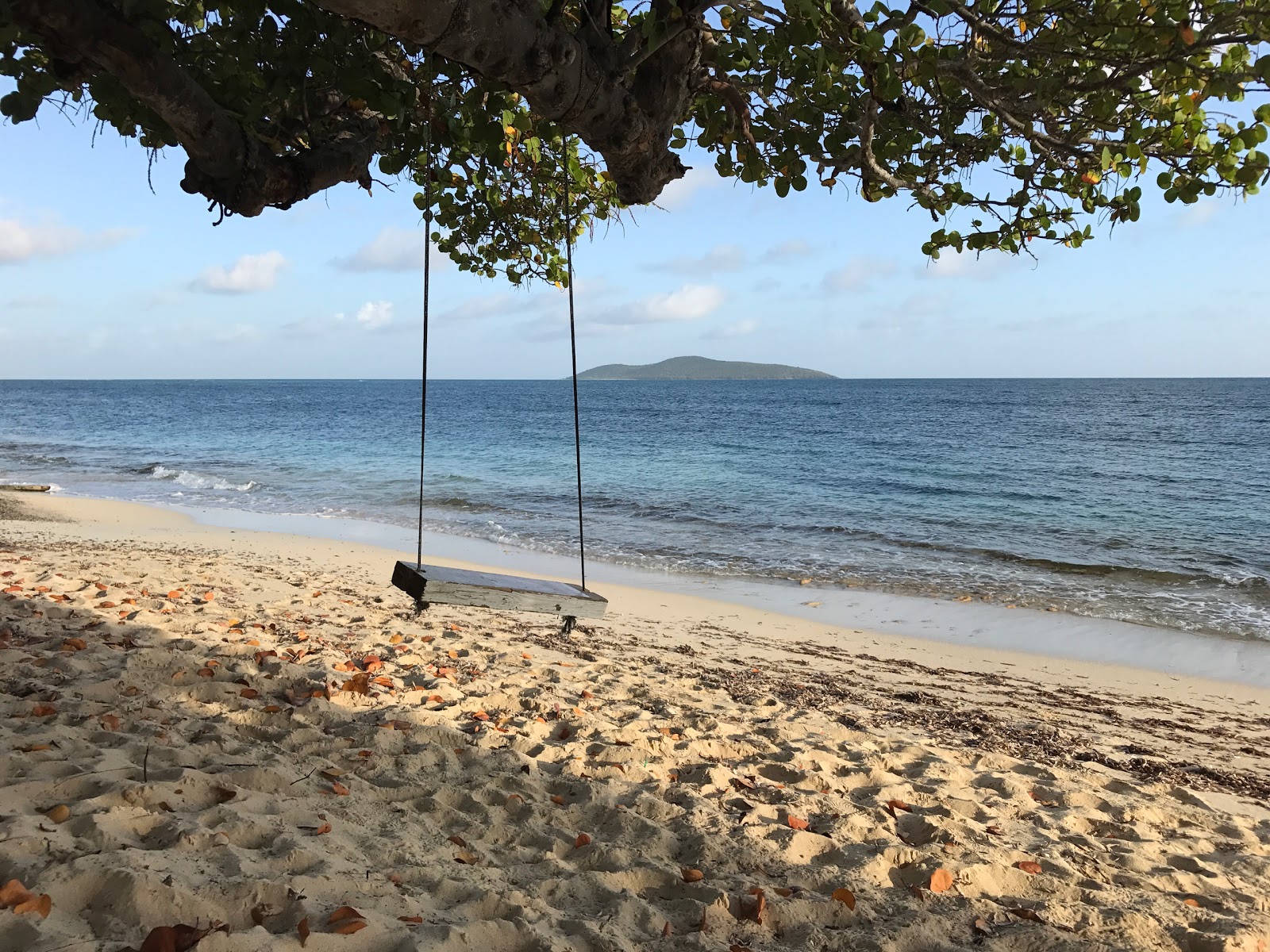 Foto af Cramer Park beach beliggende i naturområde