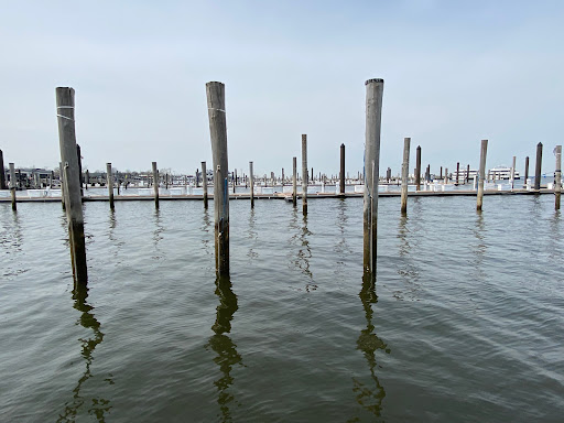 Park «Henry Hudson Trail / Popamora Point», reviews and photos, Shore Dr, Atlantic Highlands, NJ 07716, USA